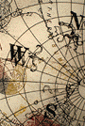 The Financial Network